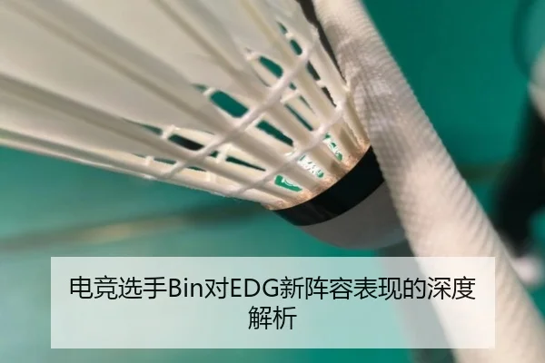 电竞选手Bin对EDG新阵容表现的深度解析